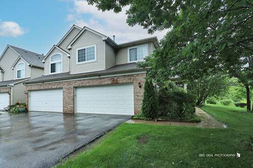 91 E Haines Unit 9, Hainesville, IL 60030