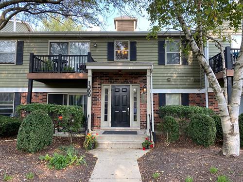 1300 Mcdowell Unit 102, Naperville, IL 60563