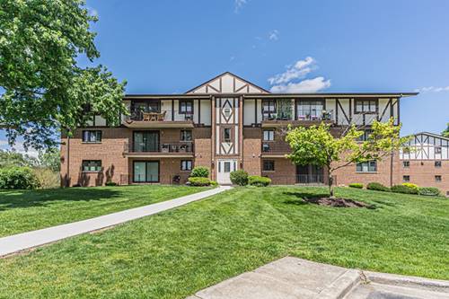 11030 S Theresa Unit 3A, Palos Hills, IL 60465
