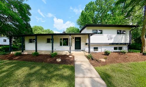 617 S Busse, Mount Prospect, IL 60056