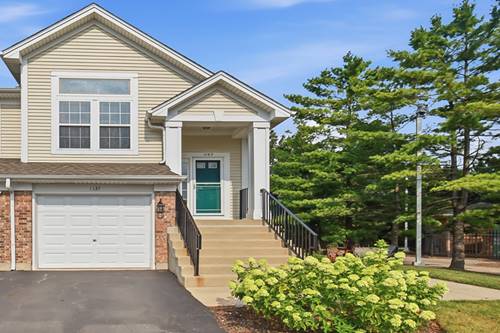 1137 Hawthorne, Elk Grove Village, IL 60007