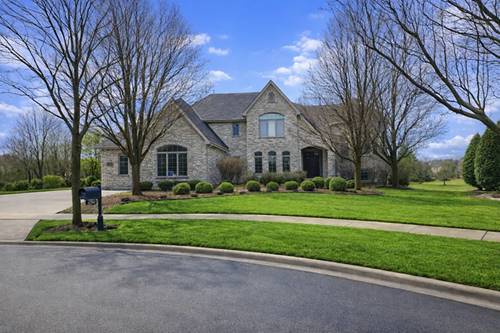 22542 Swanstone, Frankfort, IL 60423