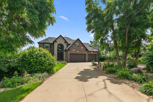 21707 Owens, Mokena, IL 60448