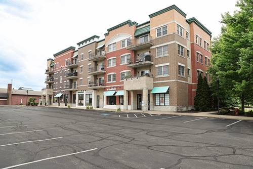 19806 Wolf Unit 304, Mokena, IL 60448