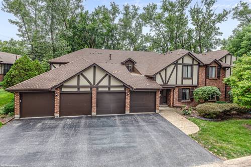 8127 Chestnut Unit 58C, Palos Hills, IL 60465