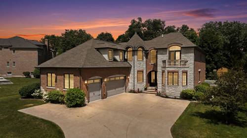 1736 Brian Grant, Downers Grove, IL 60516