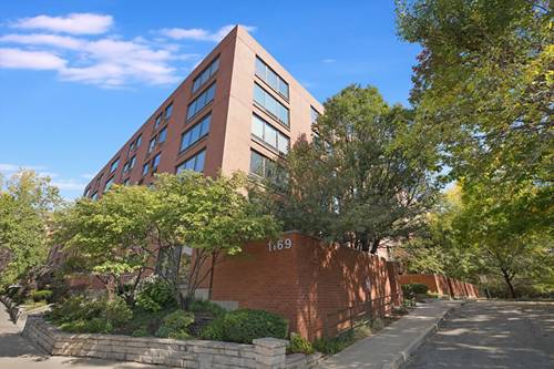1169 S Plymouth Unit 301, Chicago, IL 60605