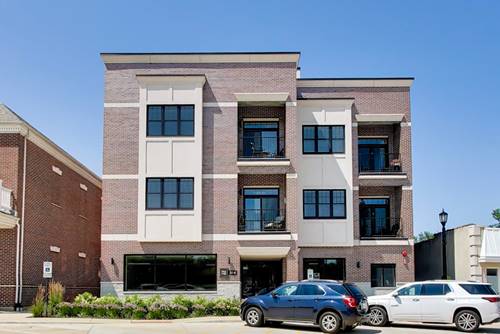 514 Hillgrove Unit 303, Western Springs, IL 60558