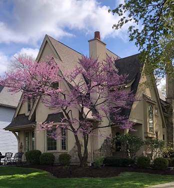 706 N Ellsworth, Naperville, IL 60563