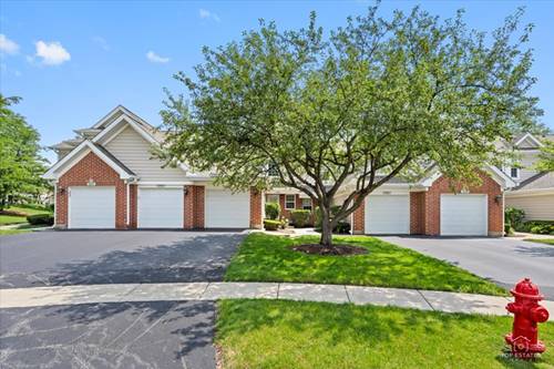 325 Odlum, Schaumburg, IL 60194