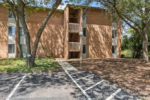6004 E Lake Unit 1F, Lisle, IL 60532