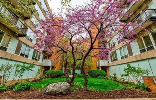 1430 S Michigan Unit 407, Chicago, IL 60605