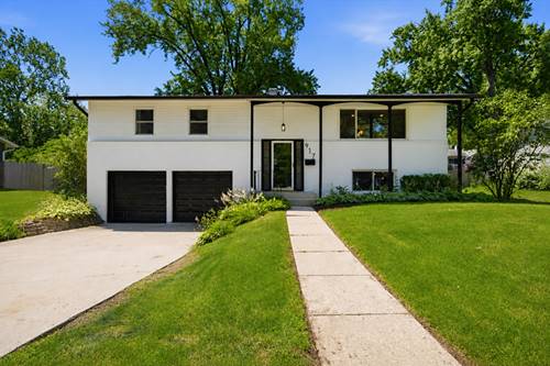 917 E Morris, Palatine, IL 60074