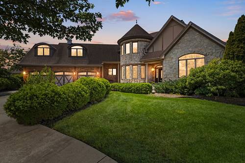 20698 Eagle Bluff, Frankfort, IL 60423