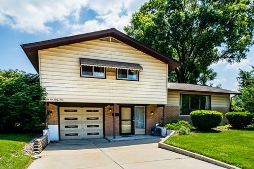 5539 La Palm, Oak Forest, IL 60452