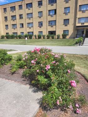 6670 S Brainard Unit 404, Countryside, IL 60525
