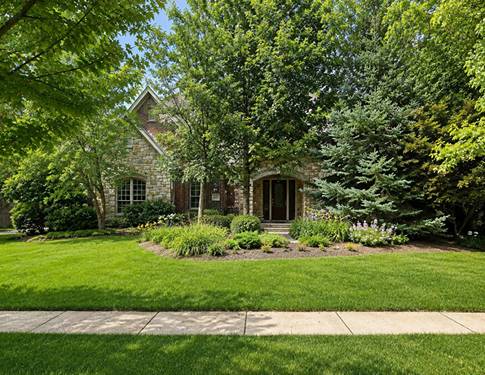 20102 Oakwood, Mokena, IL 60448