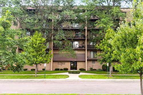 1380 Oakwood Unit 204, Des Plaines, IL 60016