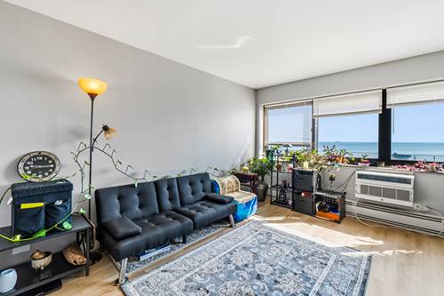 7337 S South Shore Unit 211, Chicago, IL 60649