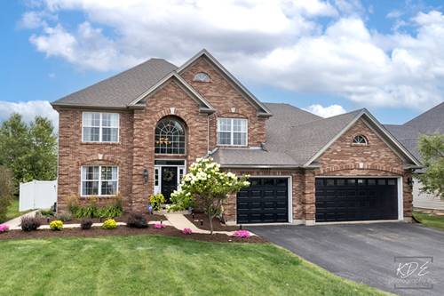 13707 Shriver, Plainfield, IL 60544