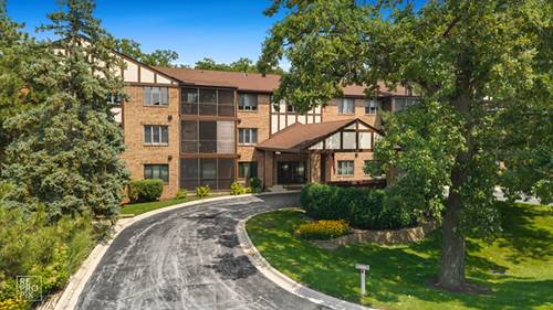 7800 W Foresthill Unit 204, Palos Heights, IL 60463