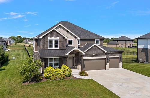 23070 Hankins, Frankfort, IL 60423