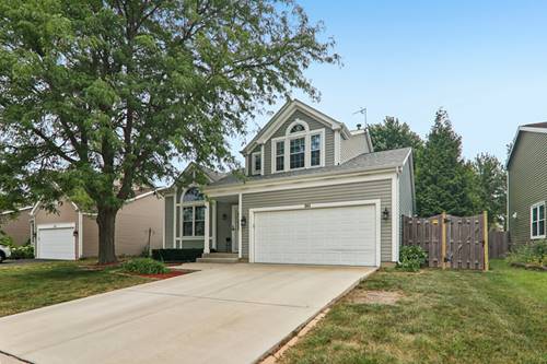 341 Dorchester, Grayslake, IL 60030