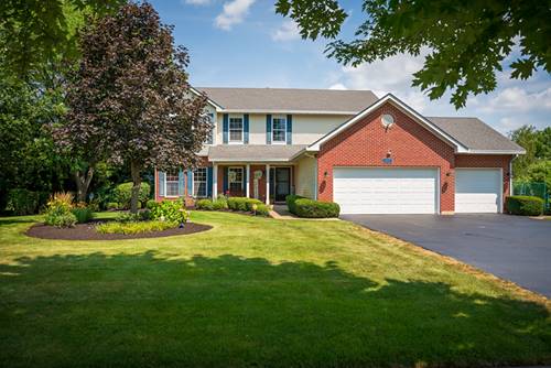 12807 Shelly, Plainfield, IL 60585