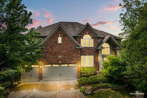 12814 Hawks Bill, Plainfield, IL 60585
