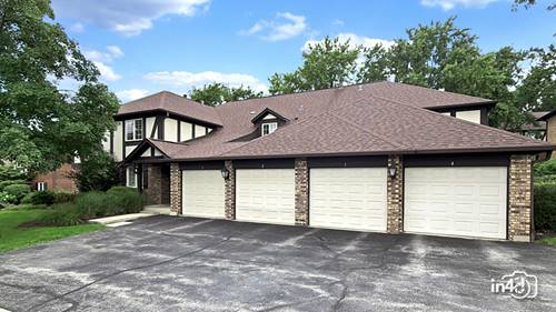 12 Algonquin Unit 4, Indian Head Park, IL 60525