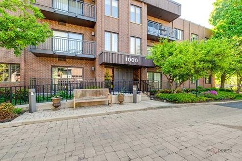 1000 Deerfield Unit 303, Highland Park, IL 60035