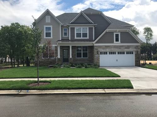 2563 Mallet, Naperville, IL 60564