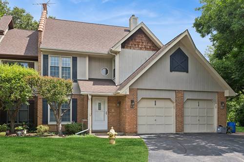 602 Country, Des Plaines, IL 60016