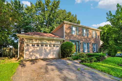 702 Buffalo, Carol Stream, IL 60188