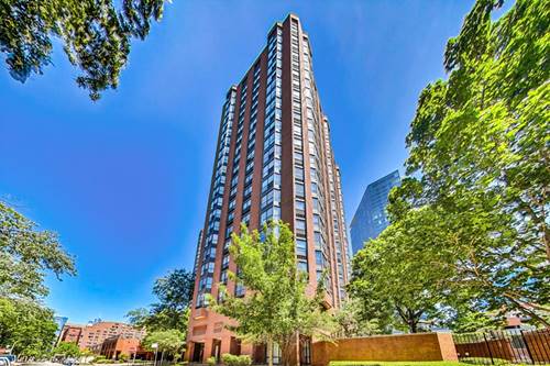 901 S Plymouth Unit 303, Chicago, IL 60605