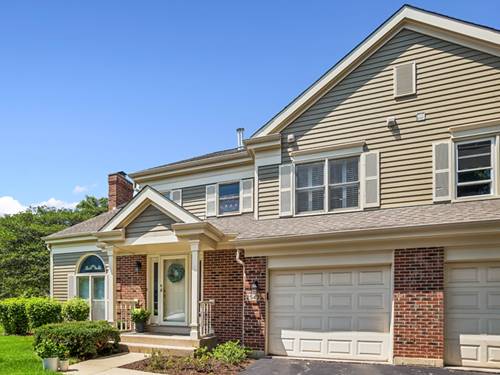 2543 E Hunter Unit 0, Arlington Heights, IL 60004