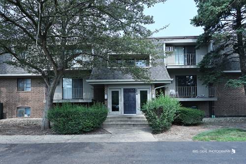 224 E Bailey Unit J, Naperville, IL 60565