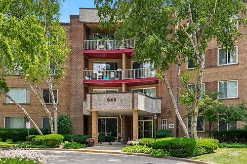 945 E Kenilworth Unit 219, Palatine, IL 60074