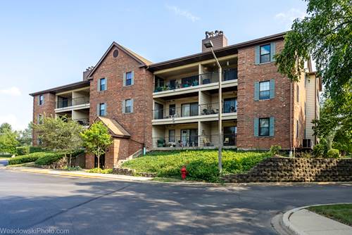 641 Hapsfield Unit 201, Buffalo Grove, IL 60089