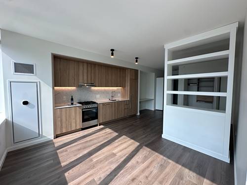 1000 S Michigan Unit 1412, Chicago, IL 60605