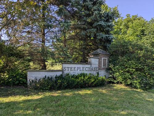13131 Steeplechase, New Lenox, IL 60451