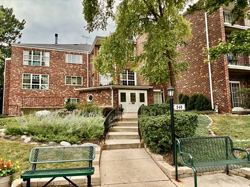 540 Biesterfield Unit 303, Elk Grove Village, IL 60007
