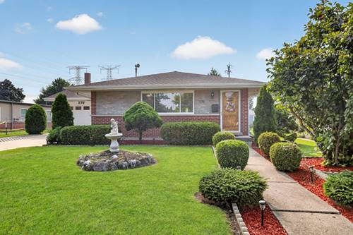 576 Dara James, Des Plaines, IL 60016