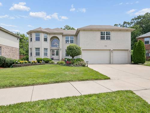 1527 Tienstra, Homewood, IL 60430
