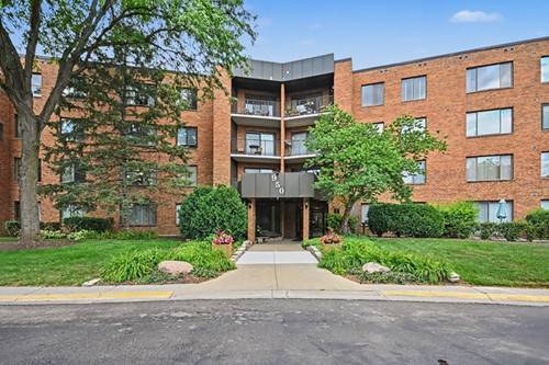 950 E Wilmette Unit 408, Palatine, IL 60074
