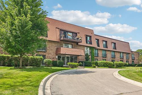 3950 Dundee Unit 203, Northbrook, IL 60062