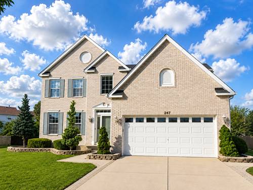 247 Alyssum, Romeoville, IL 60446