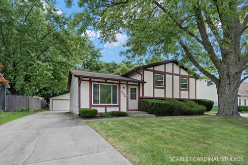 286 Plainview, Bolingbrook, IL 60440