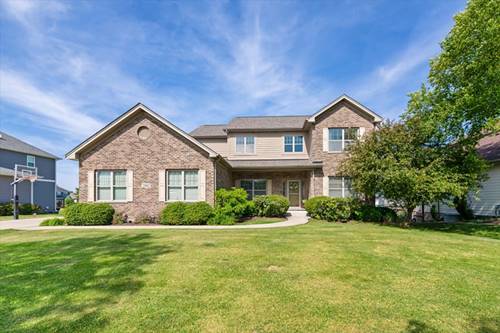 21042 Lakewoods, Shorewood, IL 60404