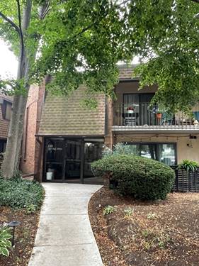 230 N Old Oak Unit 171, Buffalo Grove, IL 60089